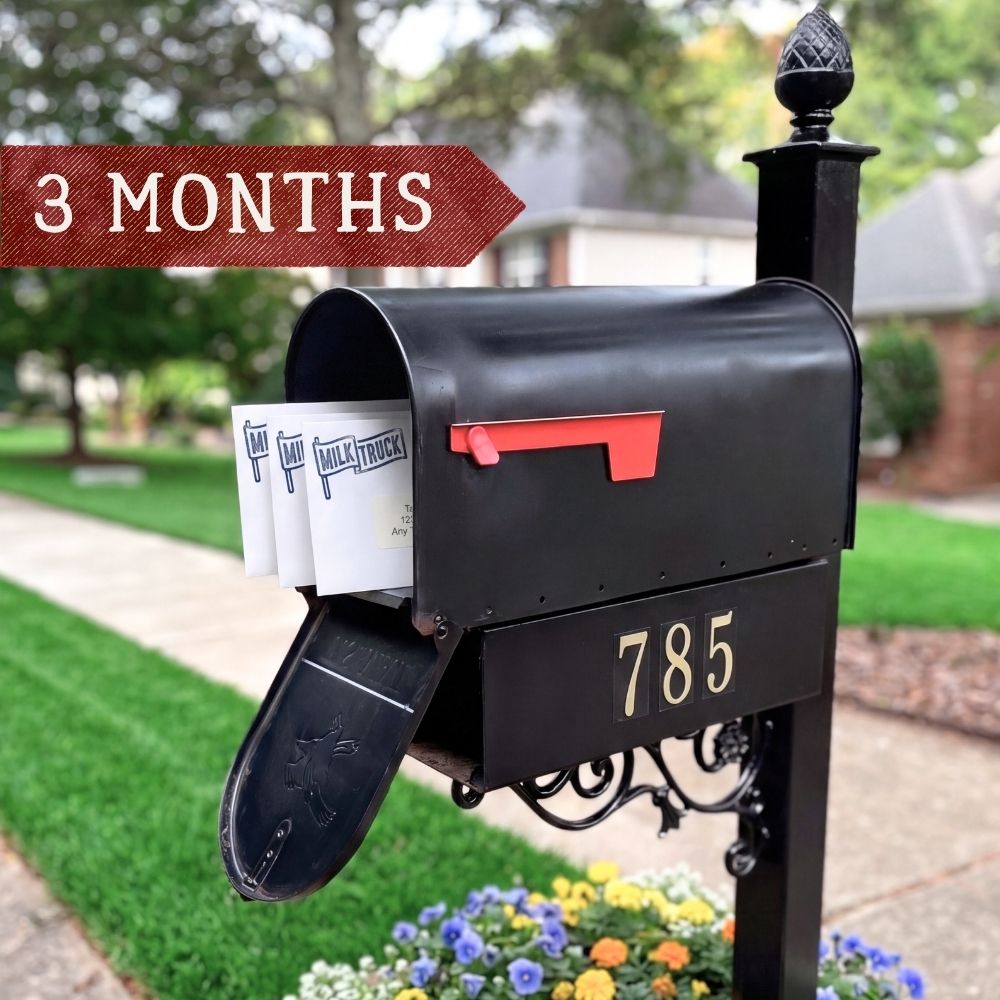 3-Month Gift Subscription